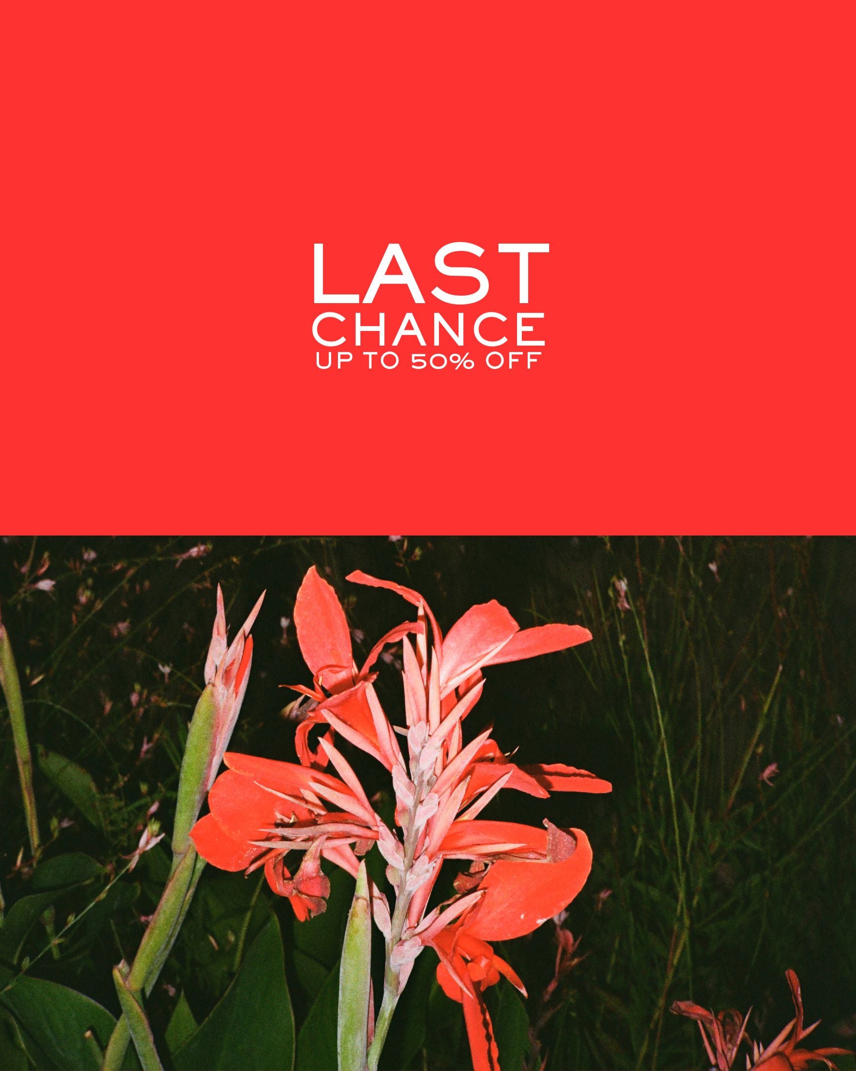 PUSH_LAST_CHANCE.jpg